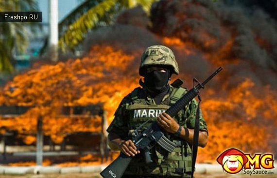 Конфискат изъятый у наркобаронов Мексики при захвате. Горы денег
