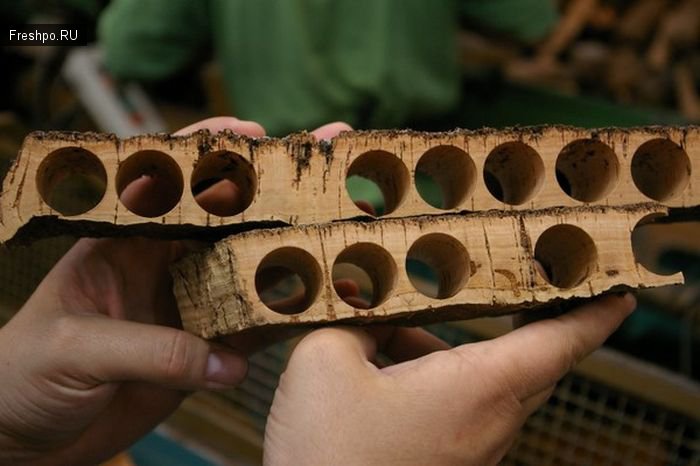 Знаете как производят деревянные пробки для бутылок?
