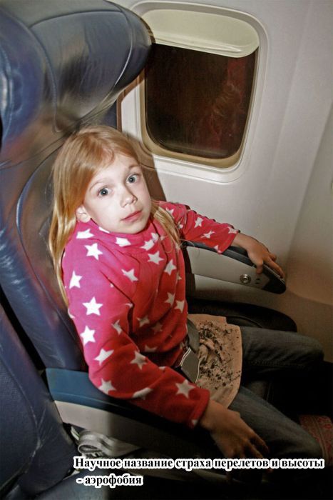 Боитесь летать на самолете потому что он может упасть? 13 фактов о безопасности полета!