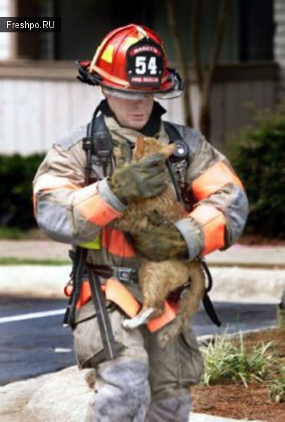 Эмоциональные фотографии - пожарники спасают домашних животных из горящих домов.