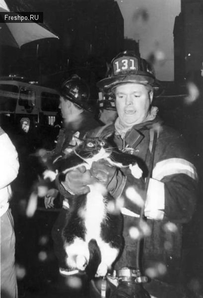 Эмоциональные фотографии - пожарники спасают домашних животных из горящих домов.