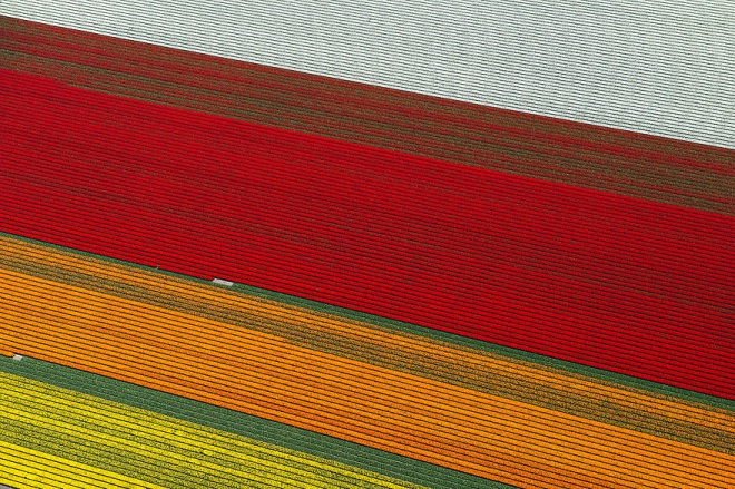 Разноцветныме поля в Нидерландах - вид из кабины самолета